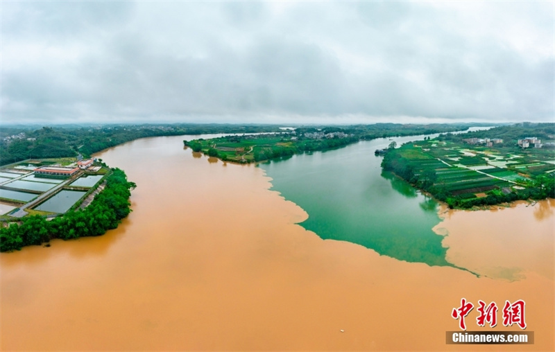 Guangxi : l'estuaire de Sanjiangkou marqué par un paysage de rivières en deux couleurs à Nanning