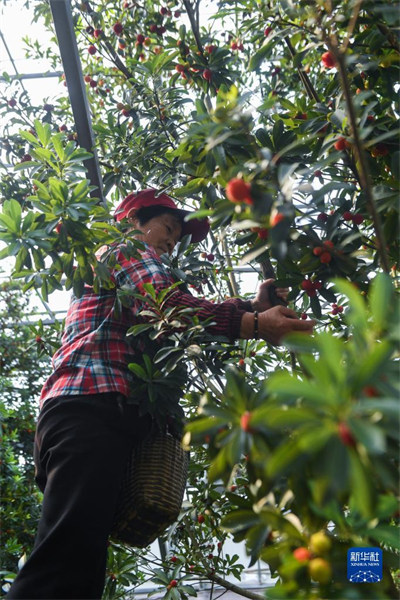 Des fraises chinoises de serre fra?ches sur le marché à Cixi, dans le Zhejiang