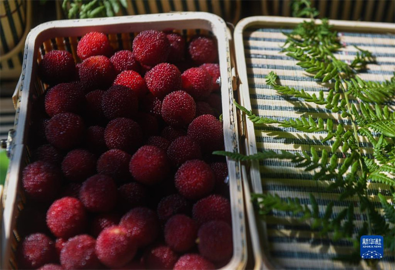 Des fraises chinoises de serre fra?ches sur le marché à Cixi, dans le Zhejiang