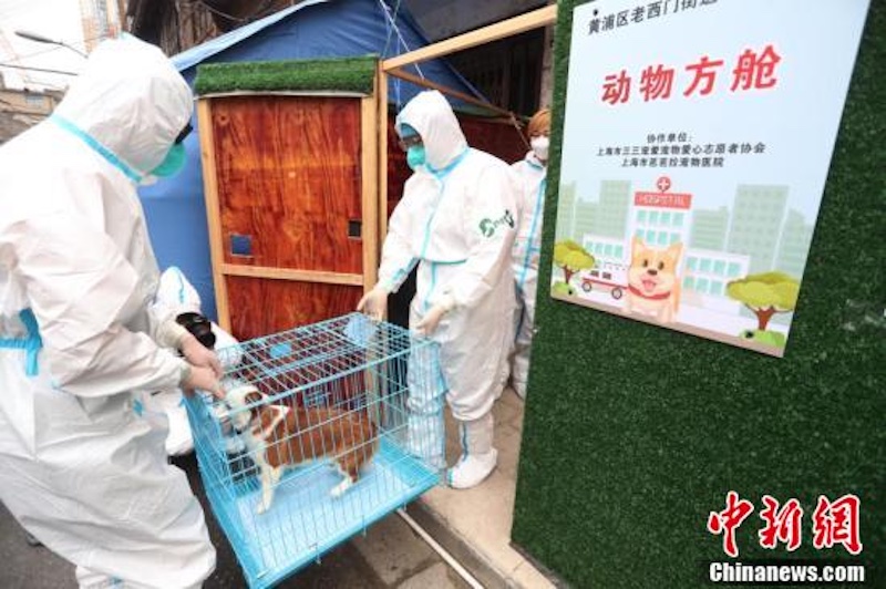 Le premier centre d'abri destiné aux animaux de compagnie des gens mis en quarantaine de Shanghai a terminé sa mission et a fermé