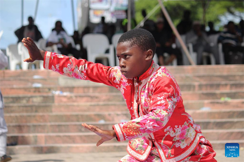 Un spectacle d'arts martiaux chinois donné lors d'une cérémonie de remise de dipl?mes à Cotonou, au Bénin