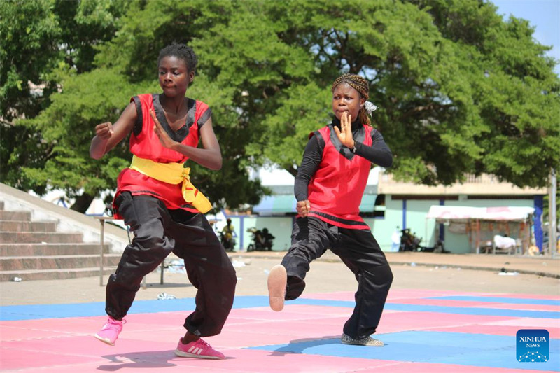 Un spectacle d'arts martiaux chinois donné lors d'une cérémonie de remise de dipl?mes à Cotonou, au Bénin