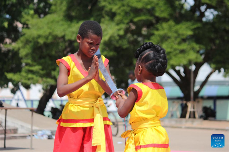 Un spectacle d'arts martiaux chinois donné lors d'une cérémonie de remise de dipl?mes à Cotonou, au Bénin