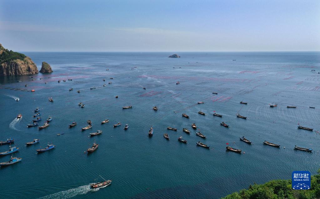 Liaoning : une nouvelle pastorale résonne sur le paturage marin et le ? grenier bleu ? engendre de la vitalité