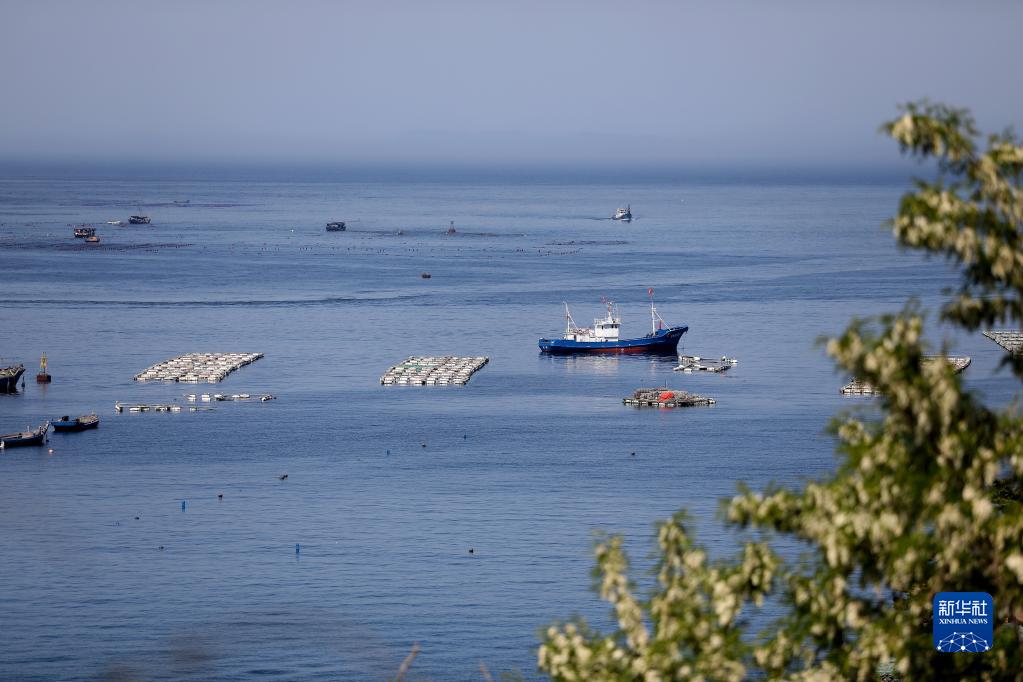 Liaoning : une nouvelle pastorale résonne sur le paturage marin et le ? grenier bleu ? engendre de la vitalité