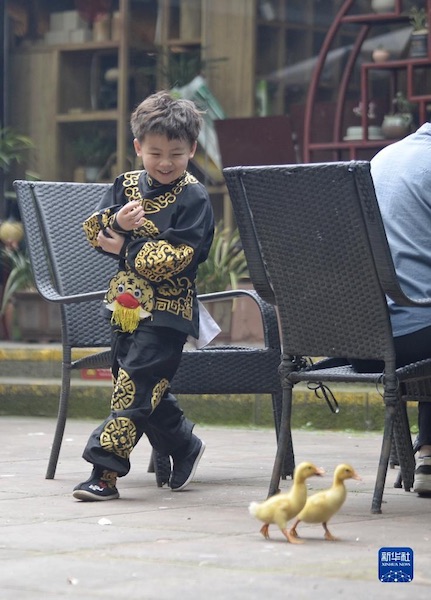 Un petit enfant mignon de six ans apprend l'opéra du Sichuan