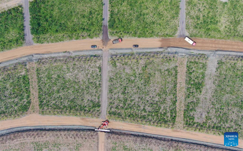 Liaoning : une fosse minière abandonnée transformée en jardin