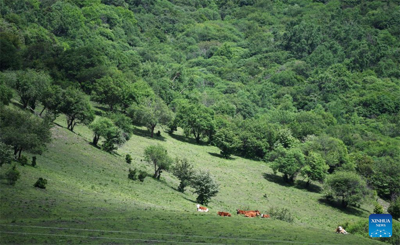 Gansu : le mont Guanshan vu d'en haut