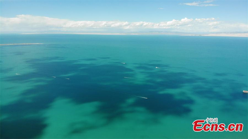 La Chine annonce la création d'un parc national au lac Qinghai