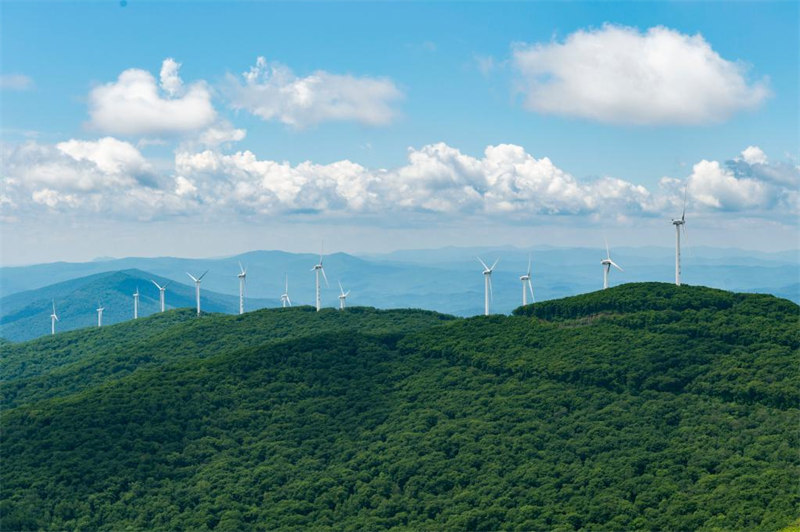 Chine : éoliennes dans un parc forestier au Heilongjiang