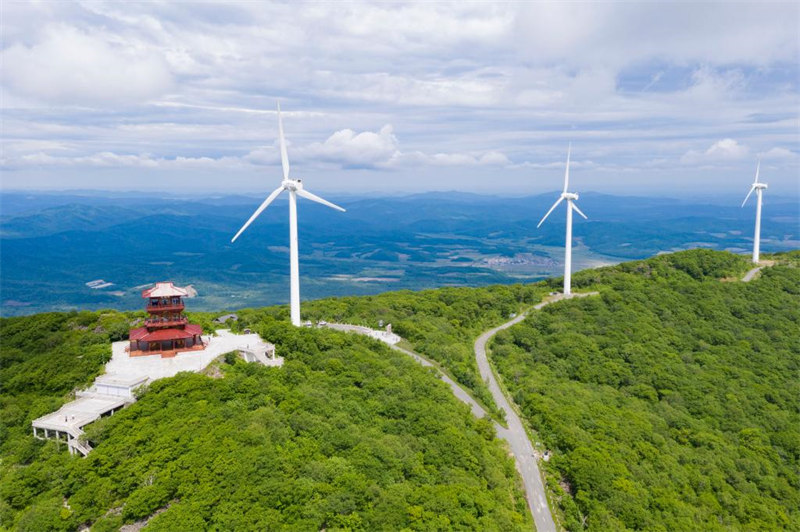 Chine : éoliennes dans un parc forestier au Heilongjiang