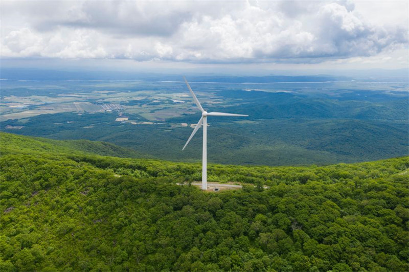 Chine : éoliennes dans un parc forestier au Heilongjiang