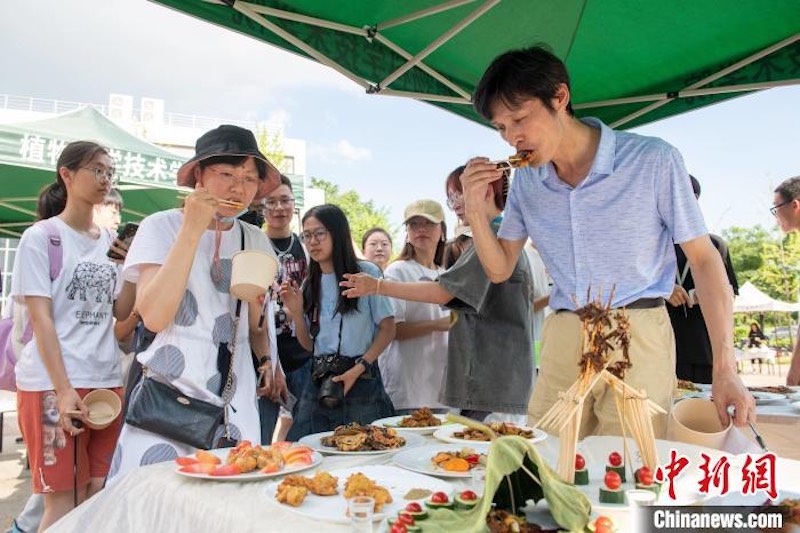 Hubei : un ? festin d'insectes ? à l'Université agricole de Huazhong