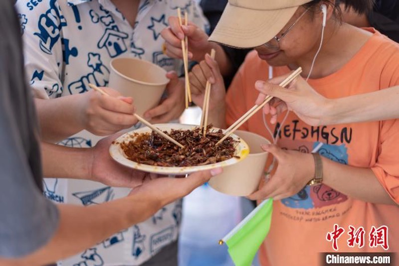 Hubei : un ? festin d'insectes ? à l'Université agricole de Huazhong