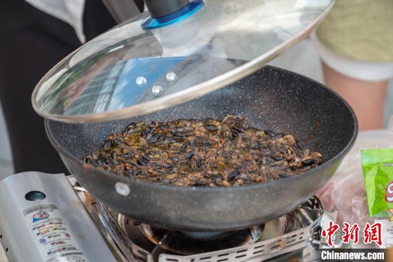 Hubei : un ? festin d'insectes ? à l'Université agricole de Huazhong