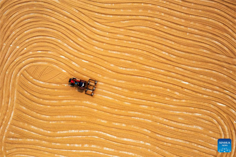 Des agriculteurs travaillent dans les champs à travers la Chine