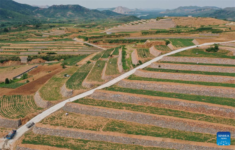 Hebei : la mise en place de l'aménagement des terres à Lulong