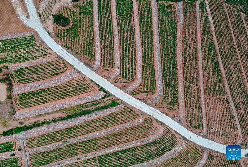 Hebei : la mise en place de l'aménagement des terres à Lulong