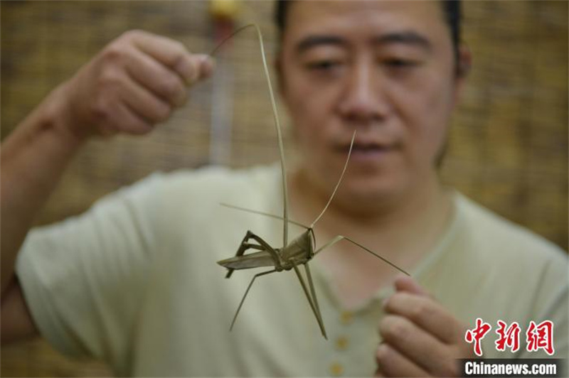 Hebei : les tiges des feuilles revivent entre les mains d'un artisan folklorique de tissage de paille à Shijiazhuang