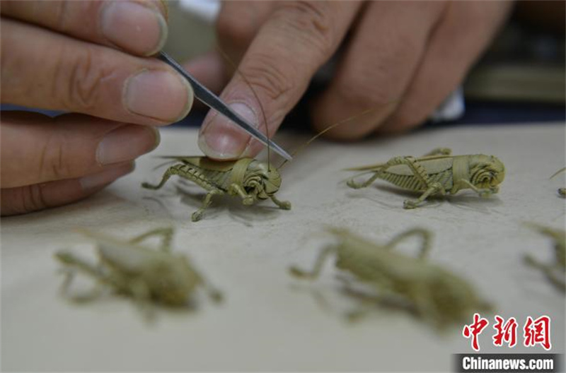 Hebei : les tiges des feuilles revivent entre les mains d'un artisan folklorique de tissage de paille à Shijiazhuang