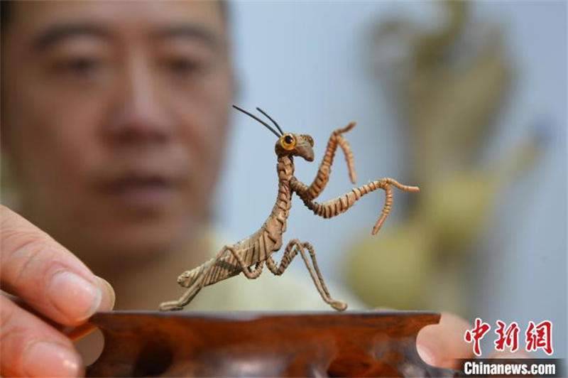 Hebei : les tiges des feuilles revivent entre les mains d'un artisan folklorique de tissage de paille à Shijiazhuang