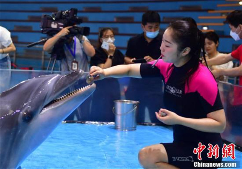 Anhui : les animaux marins échappent à la vague de chaleur de différentes manières à Hefei