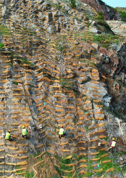 Jiangsu : la restauration écologique sur une falaise rend le vert à la population à Lianyungang