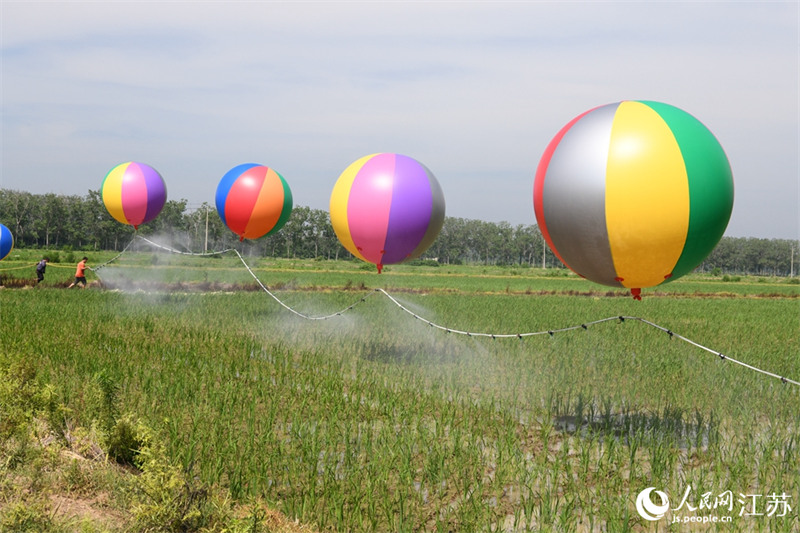 Jiangsu : la pulvérisation des pesticides par ballon