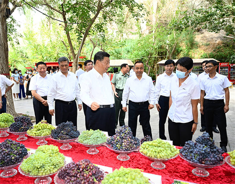 Xi Jinping inspecte la ville de Tourfan au Xinjiang