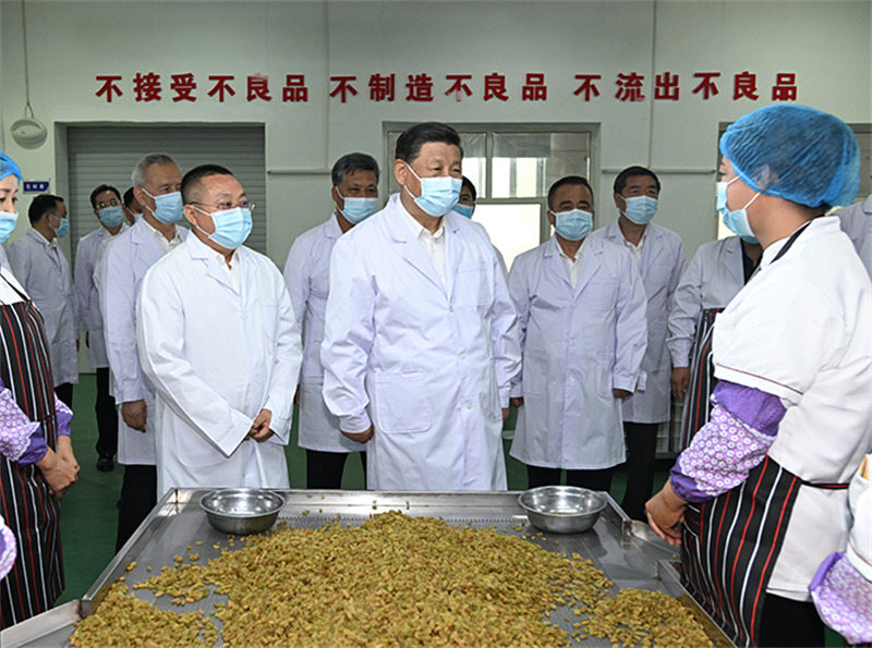 Xi Jinping inspecte la ville de Tourfan au Xinjiang