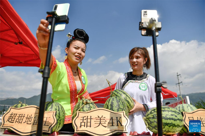 Guizhou : la vente de pastèques augmente les revenus des villageois du comté de Rongjiang