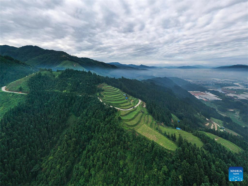 Guizhou : la vente de pastèques augmente les revenus des villageois du comté de Rongjiang