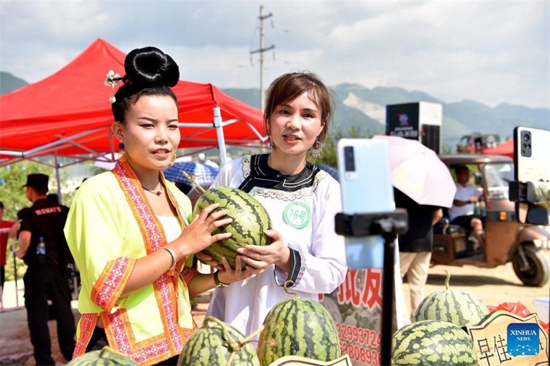 Guizhou : la vente de pastèques augmente les revenus des villageois du comté de Rongjiang