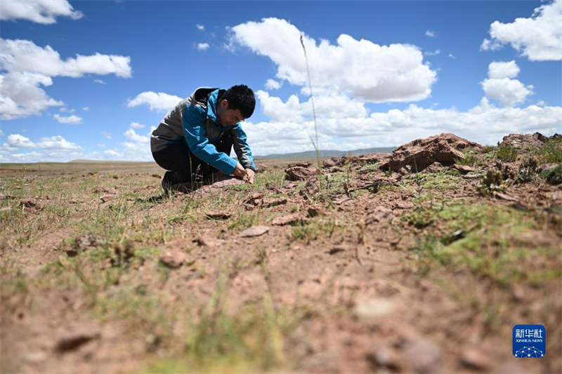 Une équipe d'expédition scientifique chinoise découvre pour la première fois des ? monts rouges ? très rares dans le nord-ouest de la Chine