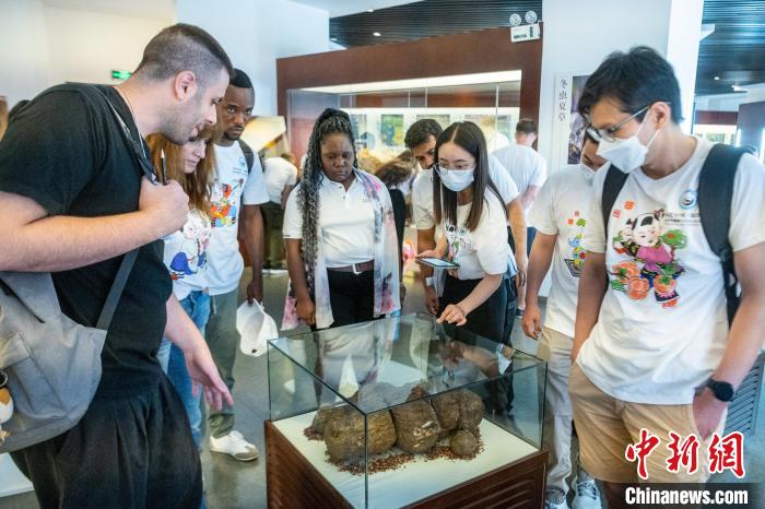 Sichuan: 48 enseignants et étudiants étrangers apprennent le tissage du bambou et la cuisine du Sichuan pour découvrir le charme de la culture de Bashu