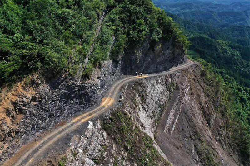 Chongqing : une route sur la falaise ouverte au trafic pour desservir des terres arables isolées