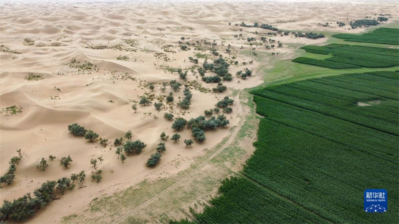 Mongolie intérieure: le contr?le des bords du désert de Wulanbuhe