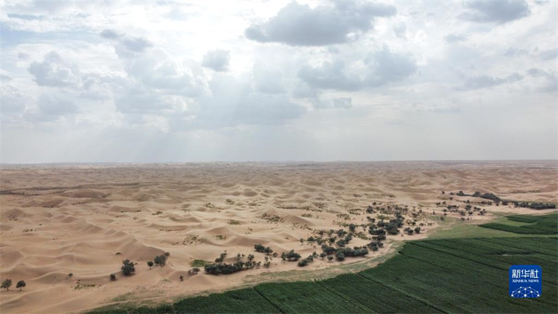 Mongolie intérieure: le contr?le des bords du désert de Wulanbuhe