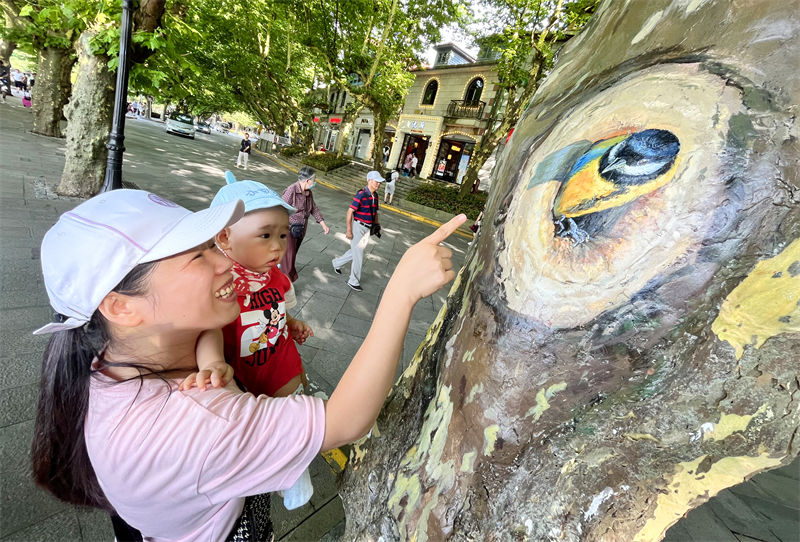 Jiangxi : des animaux 3D ? dans des arbres ?, une nouvelle mesure de conservation des arbres à Jiujiang