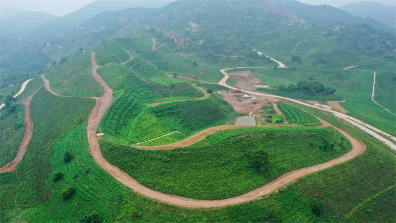 Anhui : des anciennes mines abandonnées recouvertes d'un ? manteau vert ?