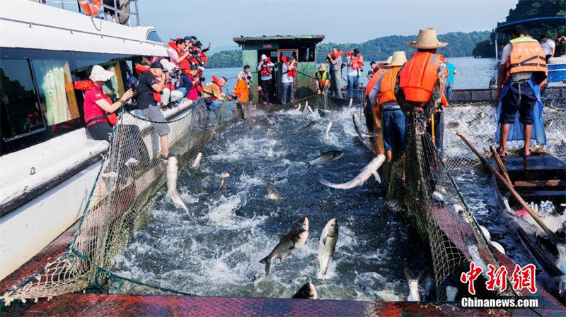 Jiangxi : la ? pêche au grand filet ? dans le lac de la Fée de Xinyu