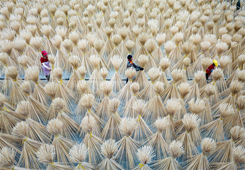 Le séchage des produits semi-finis de bambou dans le Jiangxi