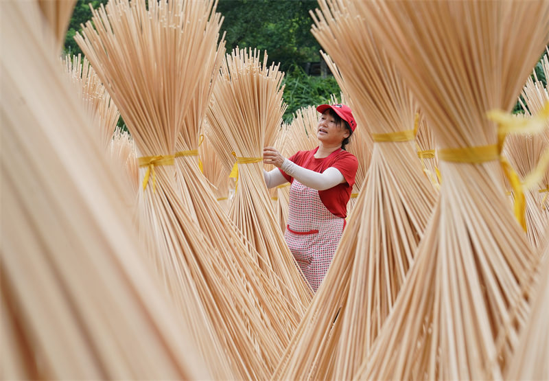 Le séchage des produits semi-finis de bambou dans le Jiangxi