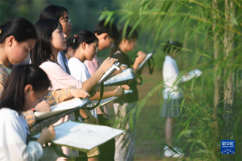 Henan : comment la peinture donne une identité neuve au village de Funiushan