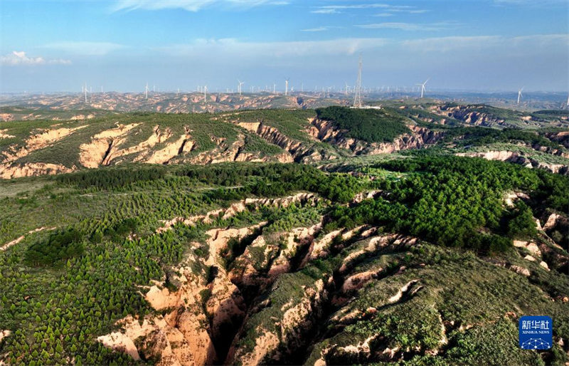 Shaanxi : les changements écologiques de Shenmu au cours de la dernière décennie