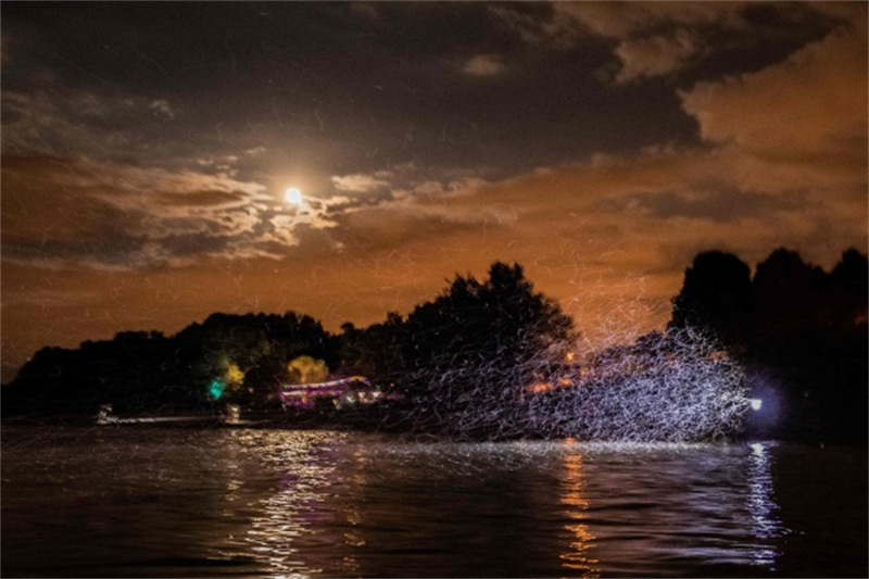 Les éphémères volent au-dessus du Danube en Hongrie, comme des flocons de neige dans la nuit