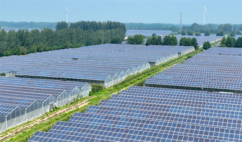 Anhui : le modèle ? photovolta?que + agriculture ? stimule l'économie verte à Bozhou