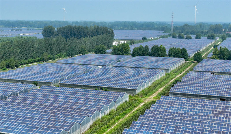 Anhui : le modèle ? photovolta?que + agriculture ? stimule l'économie verte à Bozhou