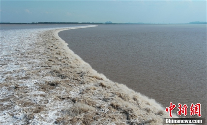 Zhejiang : le mascaret spectaculaire du fleuve Qiantang à Jiaxing