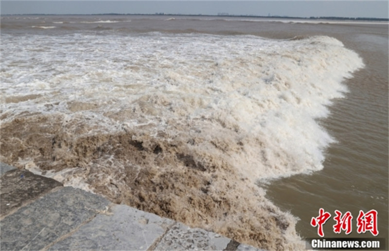 Zhejiang : le mascaret spectaculaire du fleuve Qiantang à Jiaxing